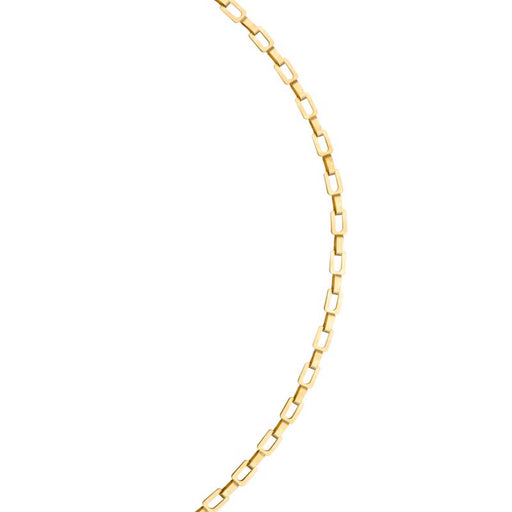Koch Industries 1/0 in. Oval Link Brass Chain 0.177 in. D X 10 ft. L