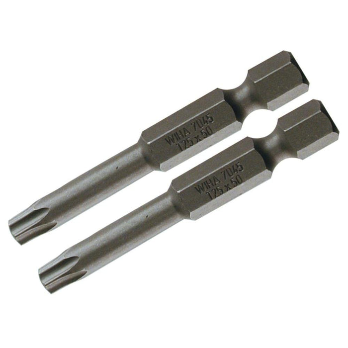 Security Torx Power Bit T40s x 50mm (2 Bit Pack)