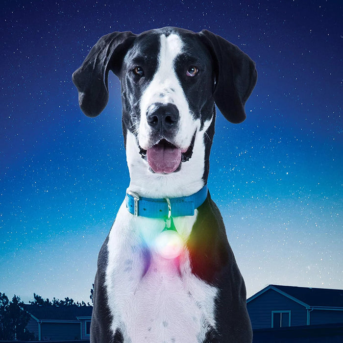 Nite Ize Spotlit XL LED Collar Light, Carabiner Clip Dog Light, USB Rechargeable, Disc-O Select Color-Changing Light